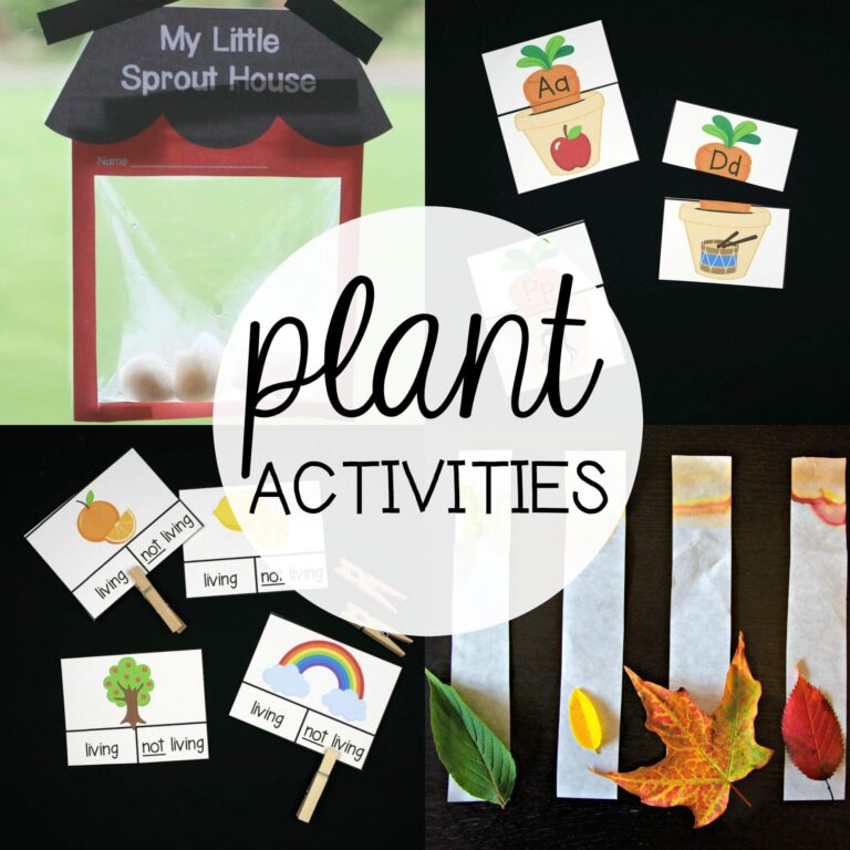 Plant Activities