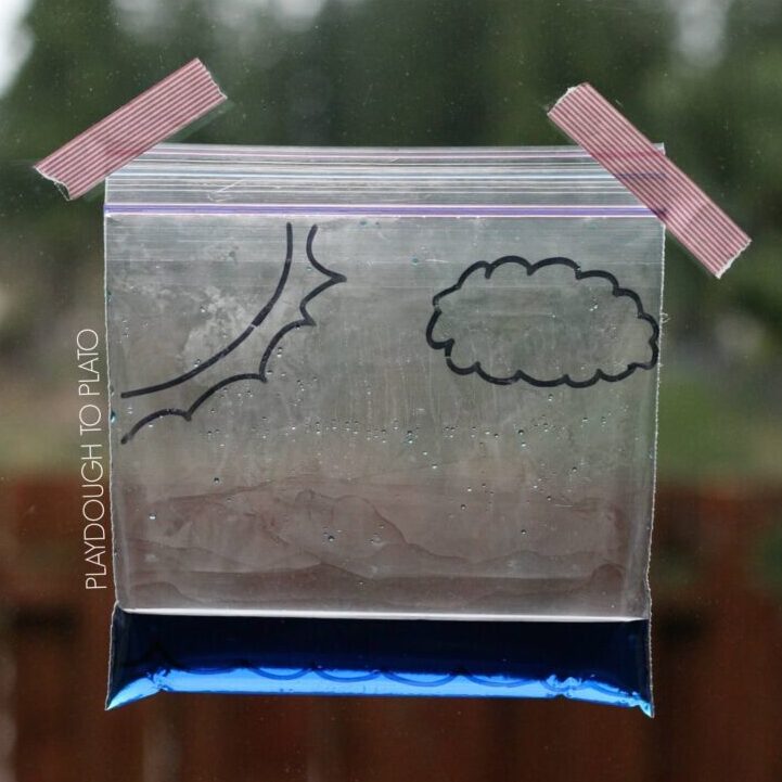 Water Cycle in a Bag