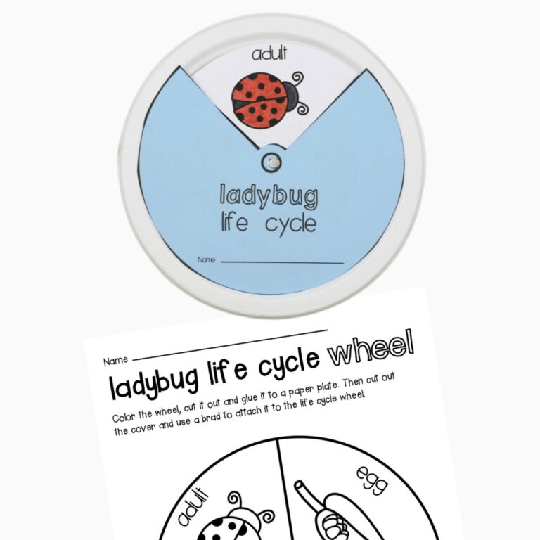 Ladybug Life Cycle Wheel