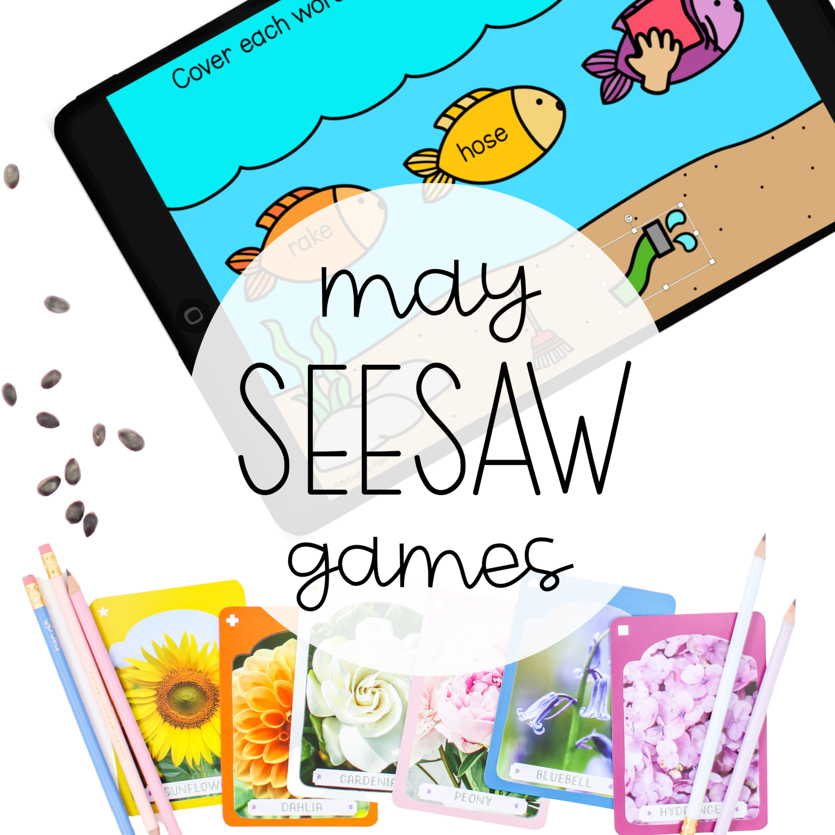 May Seesaw Centers