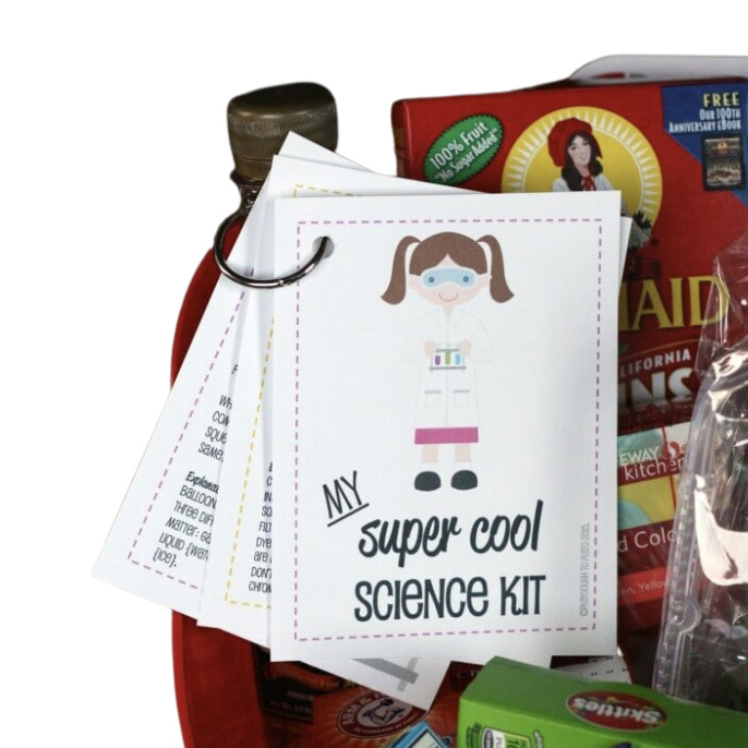 DIY Science Kit for Kids